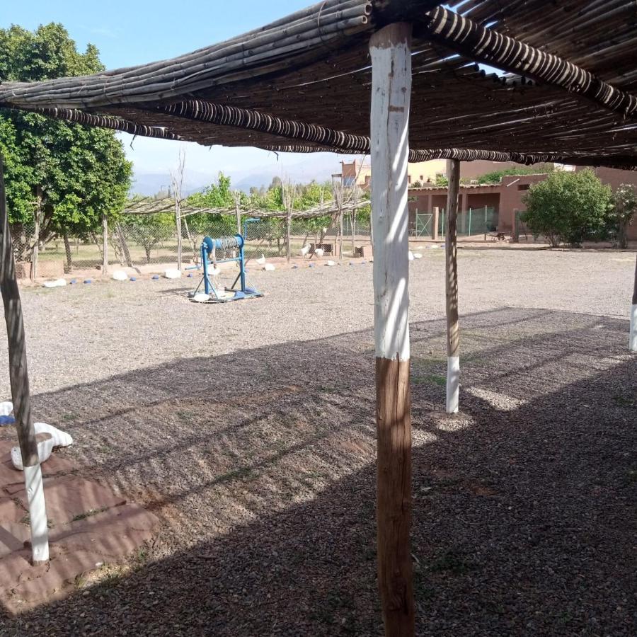Villa Ferme Berbere Marrakesz Zewnętrze zdjęcie